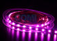 5050 die LED-Neonbeleuchtungs-rosa Farbe 25000K, 12/24 Volt führte helle Streifen 12mm FPC