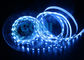 Dekorative 5050 flexible LED-Neonbeleuchtung in Eis-Blau-Farbe 25000 - 35000K 14.4W/Meter